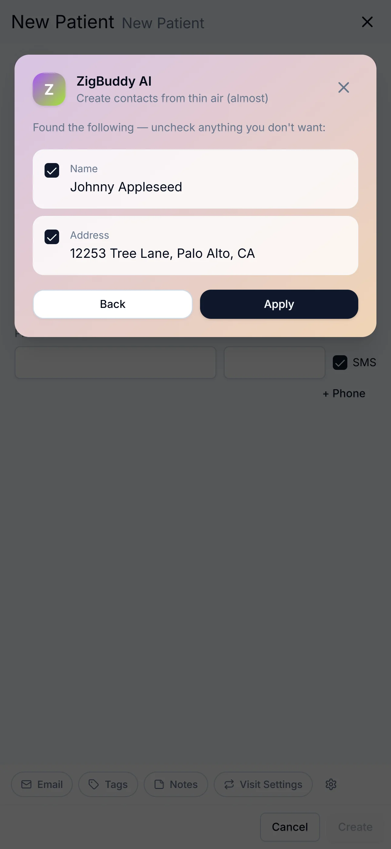 ZigBuddy AI's extraction preview — Name and Address rows the user can uncheck before applying.